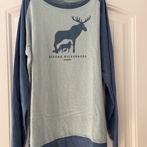 Patagonia Women's Blue and light blue Wilderness Tee